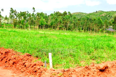 Prime Plots for Sale in a Gated Community in Kikuyu,Thigio - Image 7