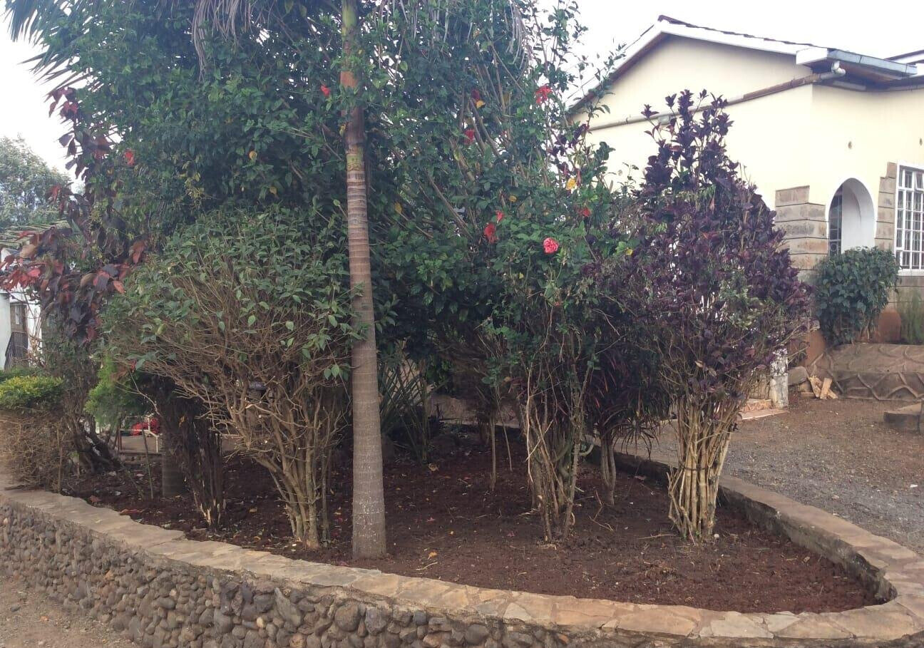 Pet Friendly 4BR Maisonette