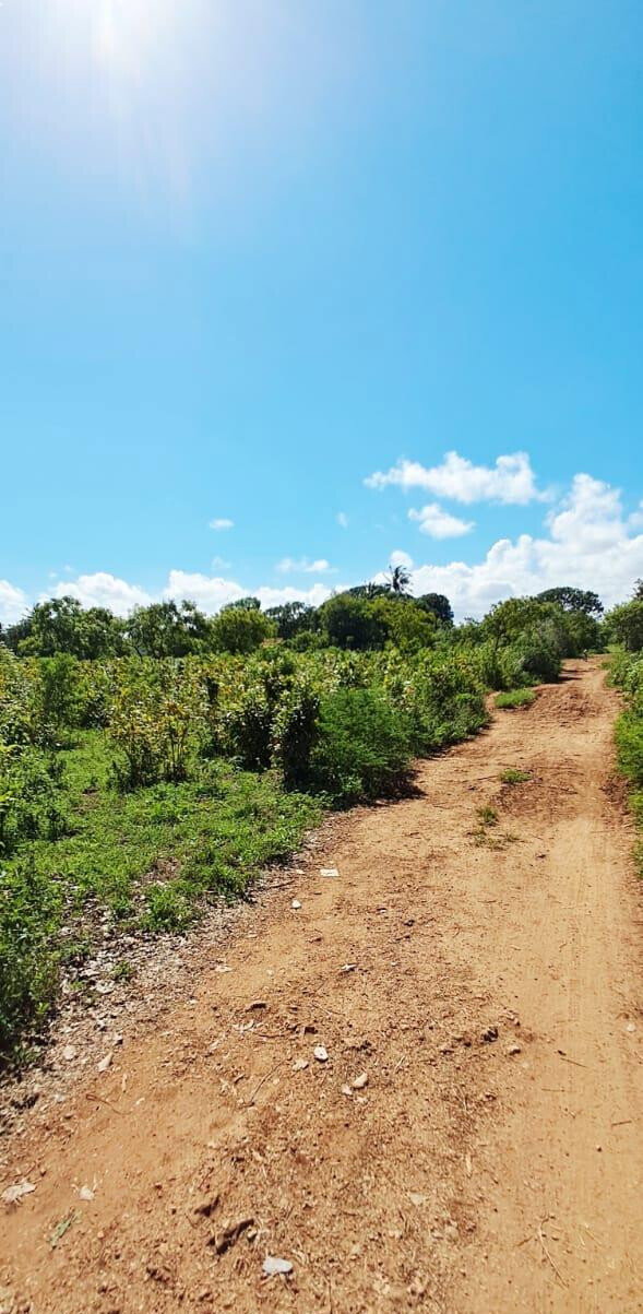KSh 2.2M 50x100 Plots in Kikambala