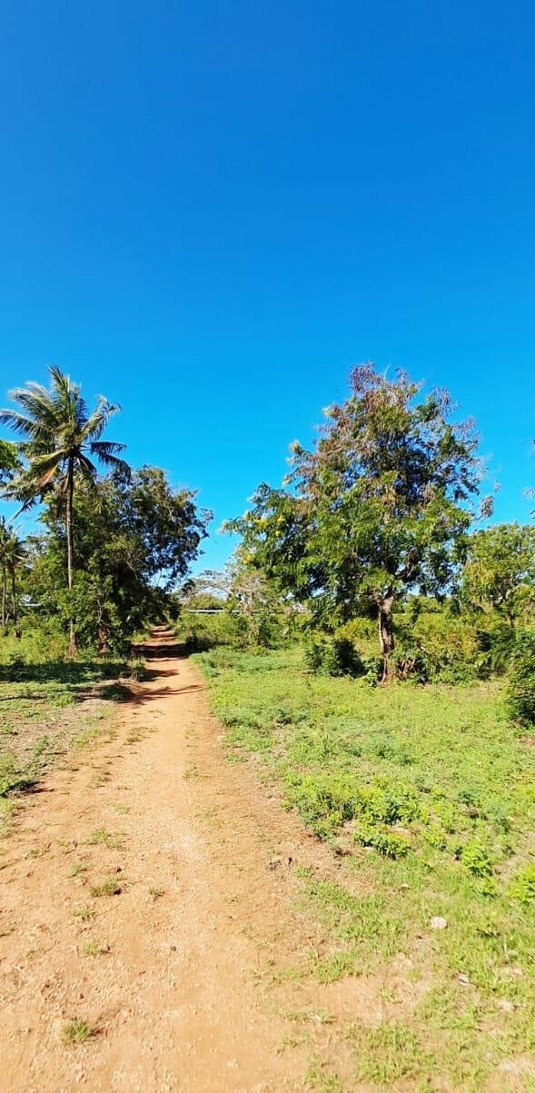 KSh 2.2M 50x100 Plots in Kikambala