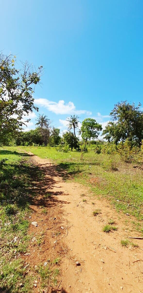 KSh 2.2M 50x100 Plots in Kikambala