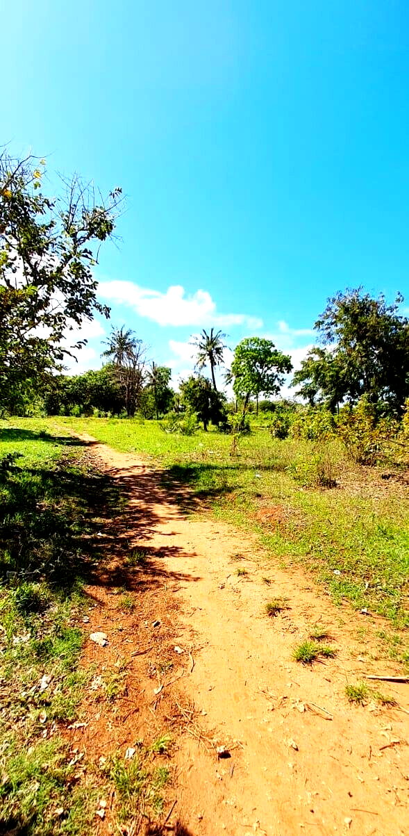 KSh 2.2M 50x100 Plots in Kikambala