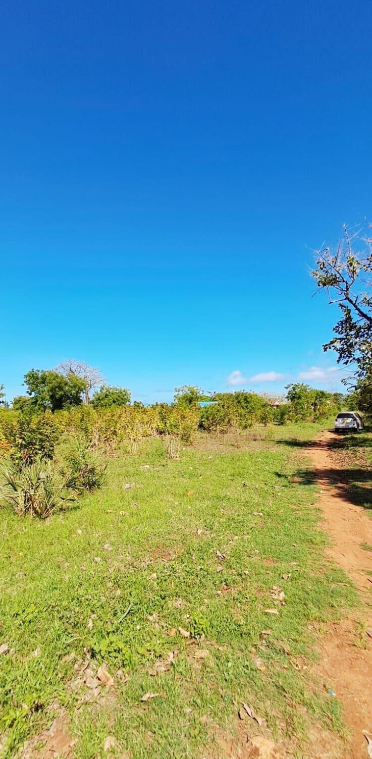 KSh 2.2M 50x100 Plots in Kikambala