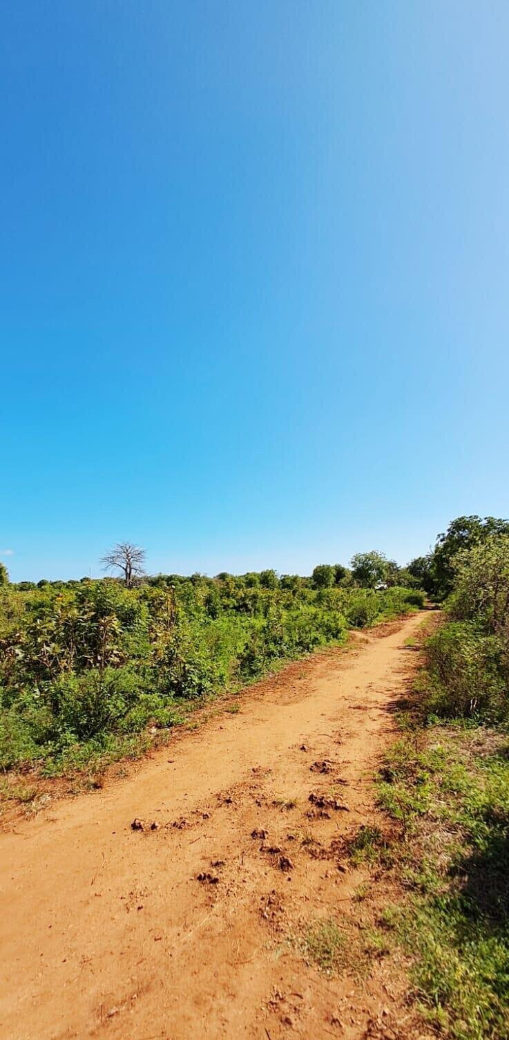 KSh 2.2M 50x100 Plots in Kikambala