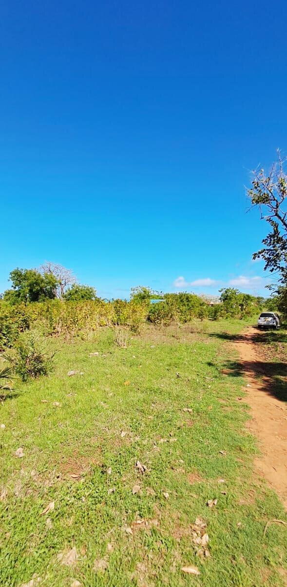 KSh 2.2M 50x100 Plots in Kikambala