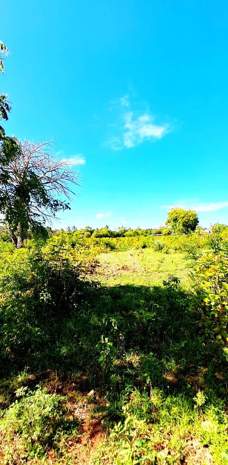 KSh 2.2M 50x100 Plots in Kikambala