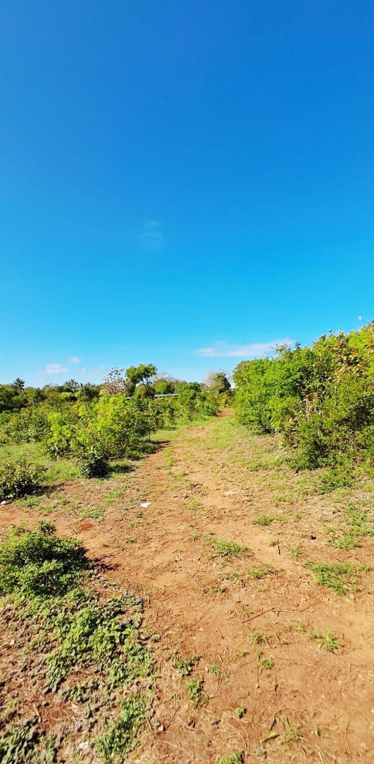 KSh 2.2M 50x100 Plots in Kikambala