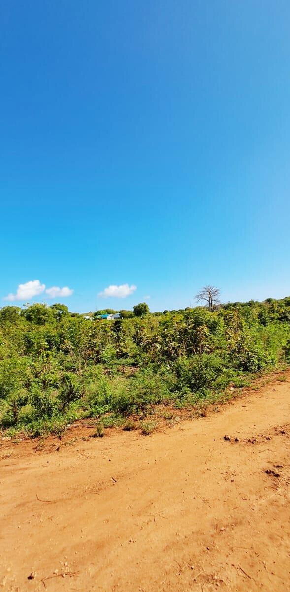 KSh 2.2M 50x100 Plots in Kikambala