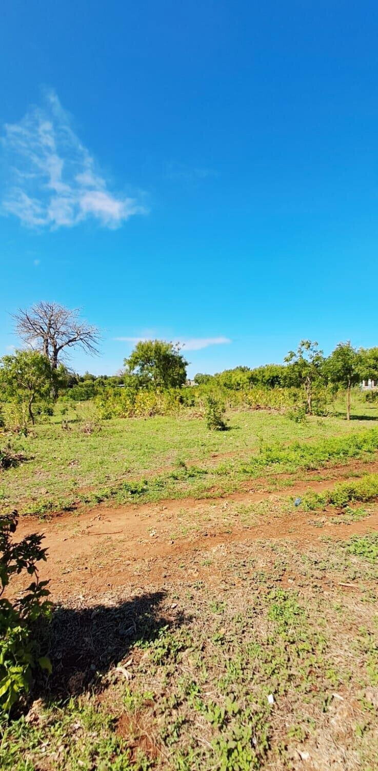 KSh 2.2M 50x100 Plots in Kikambala
