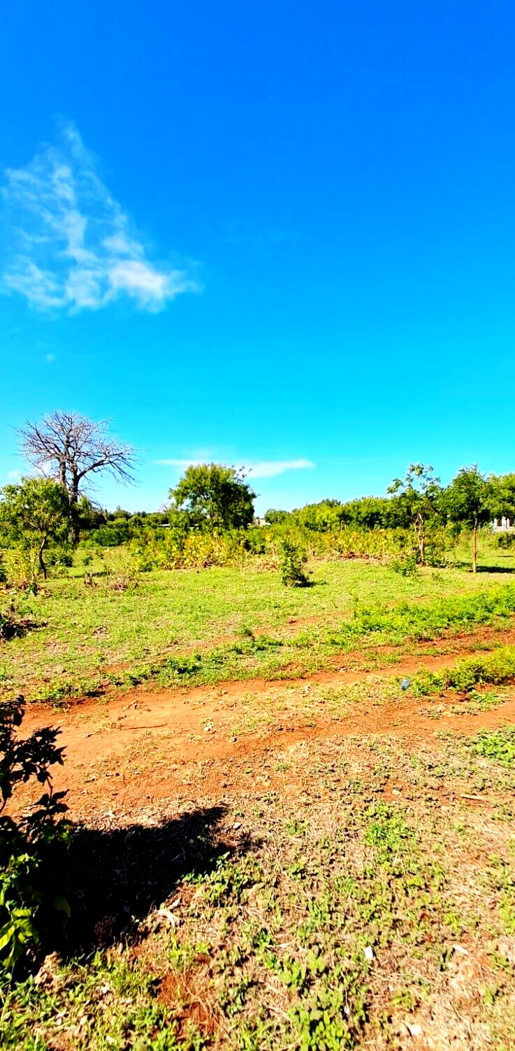 KSh 2.2M 50x100 Plots in Kikambala