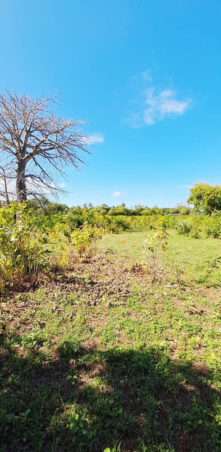 KSh 2.2M 50x100 Plots in Kikambala