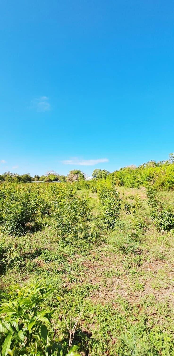 KSh 2.2M 50x100 Plots in Kikambala