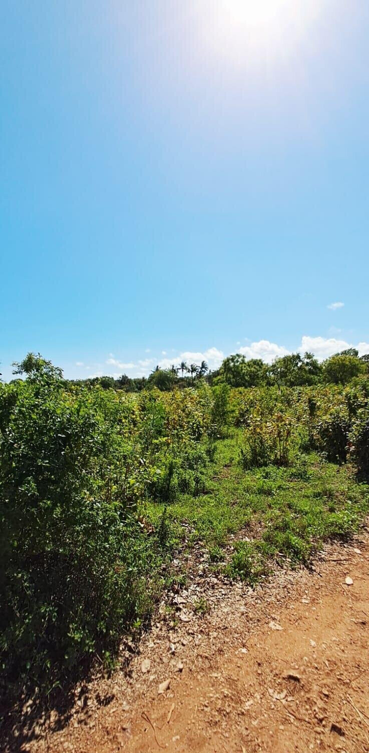 KSh 2.2M 50x100 Plots in Kikambala