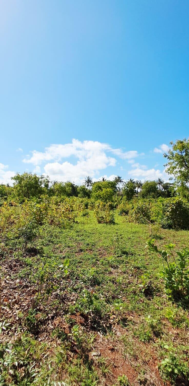 KSh 2.2M 50x100 Plots in Kikambala