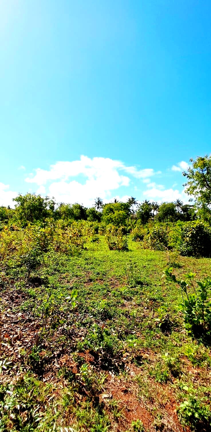 KSh 2.2M 50x100 Plots in Kikambala