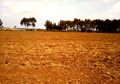 41-Acre Land in Timau for KSh 82M