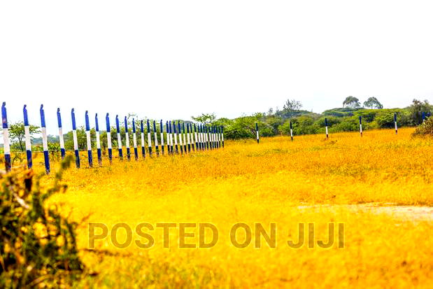 50 by 100 Plots in Koma.