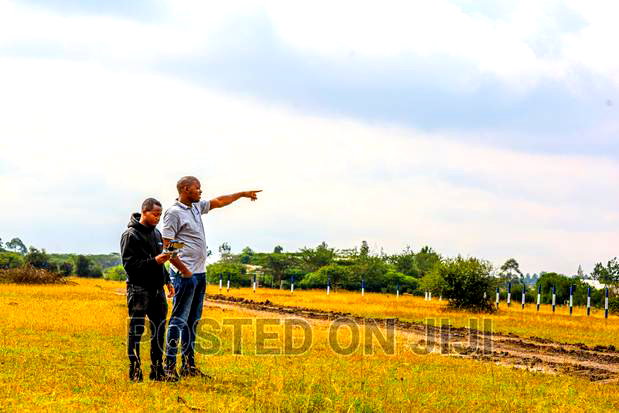 50 by 100 Plots in Koma.