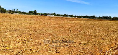 Prime Plots for Sale in Royalton Annex in Eldoret - Image 1