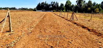 Prime Plots for Sale in Royalton Annex in Eldoret - Image 4