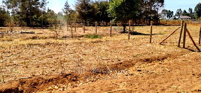 Prime Plots for Sale in Royalton Annex in Eldoret - Image 5