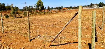 Prime Plots for Sale in Royalton Annex in Eldoret - Image 6