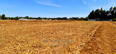 Prime Plots for Sale in Royalton Annex in Eldoret - Image 9