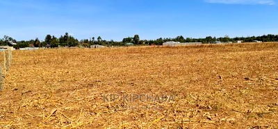 Prime Plots for Sale in Royalton Annex in Eldoret - Image 8