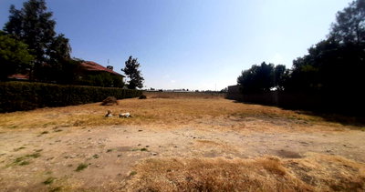 50x100 Plot with Garden in Kajiado CBD