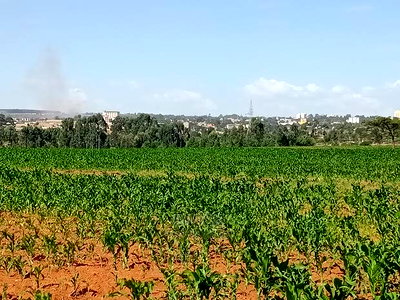 1/8 Acre Plots for Sale in Segero, Kipkenyo, Near Eld CBD - Image 2