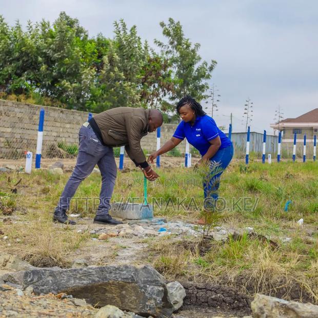 Genuine Katani Plots at 2.3M Ww ^