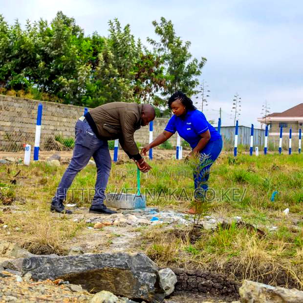 Genuine Katani Plots at 2.3M Ww ^