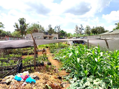 Membly Estate Prime 1/4 Acre Plot With Perimeter Wall 4 Sale - Image 7