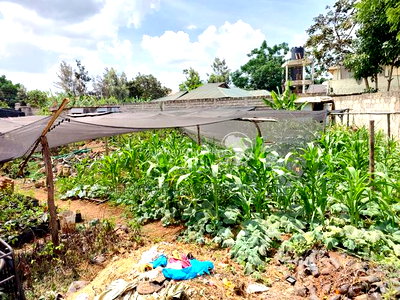 Membly Estate Prime 1/4 Acre Plot With Perimeter Wall 4 Sale - Image 8