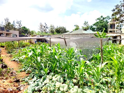 Membly Estate Prime 1/4 Acre Plot With Perimeter Wall 4 Sale - Image 6