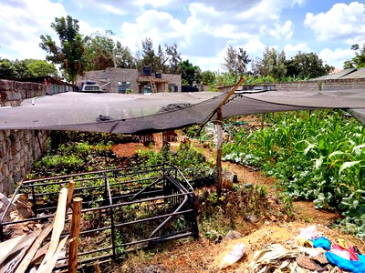 Membly Estate Prime 1/4 Acre Plot With Perimeter Wall 4 Sale - Image 9