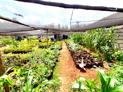 Membly Estate Prime 1/4 Acre Plot With Perimeter Wall 4 Sale - Image 4