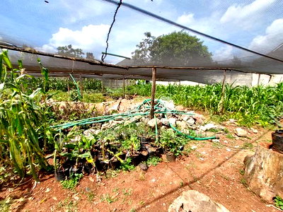 Membly Estate Prime 1/4 Acre Plot With Perimeter Wall 4 Sale - Image 10