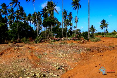 1/8th Acres Touching the Highway Mombasa -Malindi for Sale. - Image 5