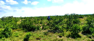 Buy Two Acreas of Land Nanyuki Olopajeta - Image 1