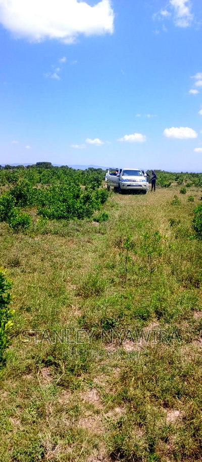 Buy Two Acreas of Land Nanyuki Olopajeta - Image 3