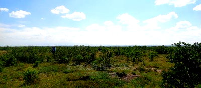 Buy Two Acreas of Land Nanyuki Olopajeta - Image 2