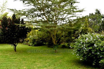 4bdrm Townhouse / Terrace in Hardy for rent - Image 5