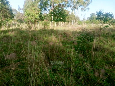 3/4 Acre Commercial Land Touching Highway Cheptiret - Image 1