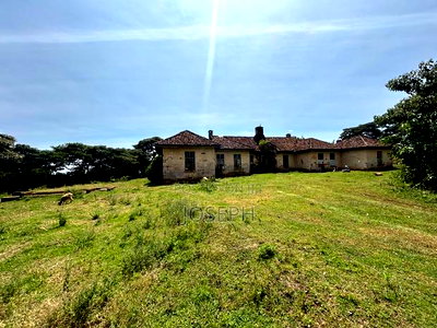 Subukia Sidai With an Old Colonial House - Image 15
