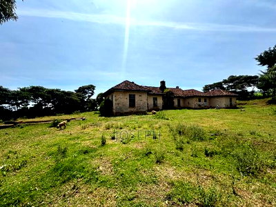Subukia Sidai With an Old Colonial House - Image 11