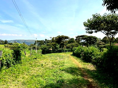 Subukia Sidai With an Old Colonial House - Image 17