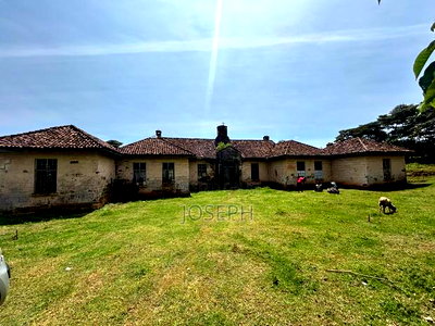 Subukia Sidai With an Old Colonial House - Image 3