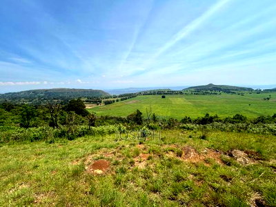 Subukia Sidai With an Old Colonial House - Image 9