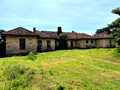 Subukia Sidai With an Old Colonial House - Image 18